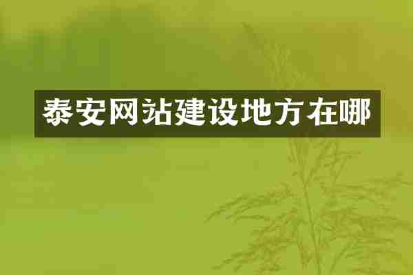 泰安网站建设地方在哪