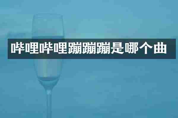 哔哩哔哩蹦蹦蹦是哪个曲