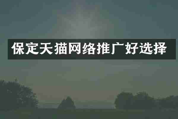 保定天猫网络推广好选择