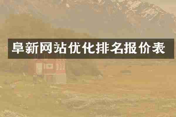 阜新网站优化排名报价表