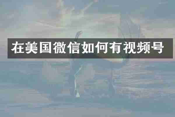 在美国微信如何有视频号