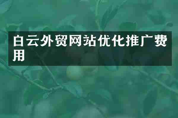 白云外贸网站优化推广费用