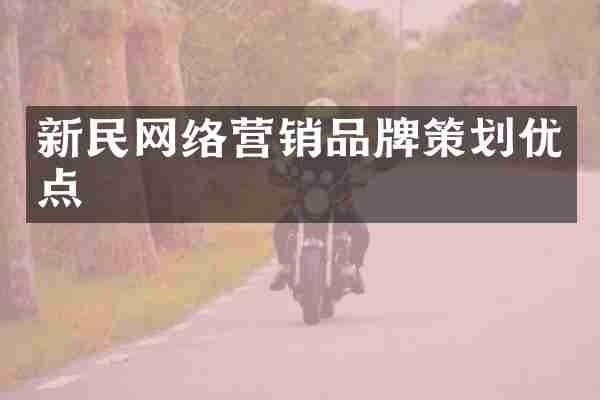 新民网络营销品牌策划优点