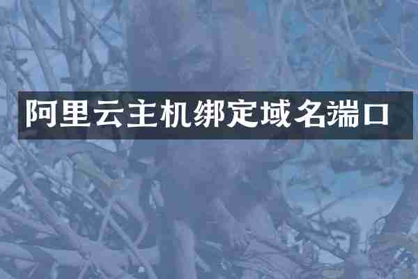 阿里云主机绑定域名端口
