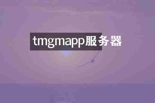 tmgmapp服务器