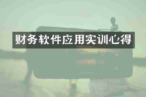 财务软件应用实训心得