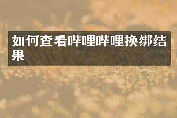 如何查看哔哩哔哩换绑结果