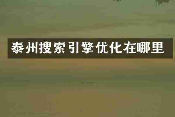 泰州搜索引擎优化在哪里