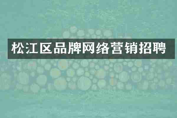松江区品牌网络营销招聘