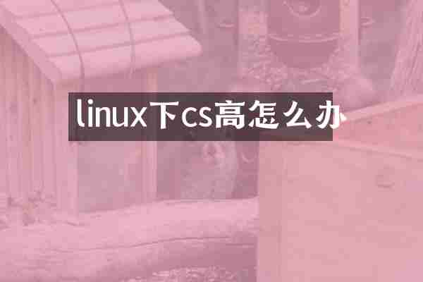 linux下cs高怎么办