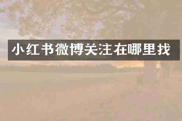 小红书微博关注在哪里找