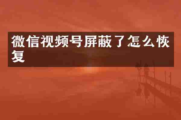 微信视频号屏蔽了怎么恢复