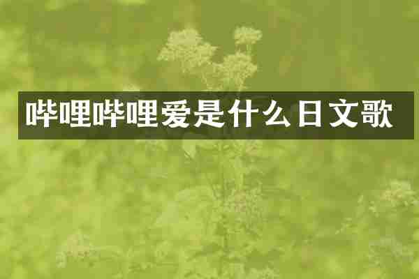 哔哩哔哩爱是什么日文歌