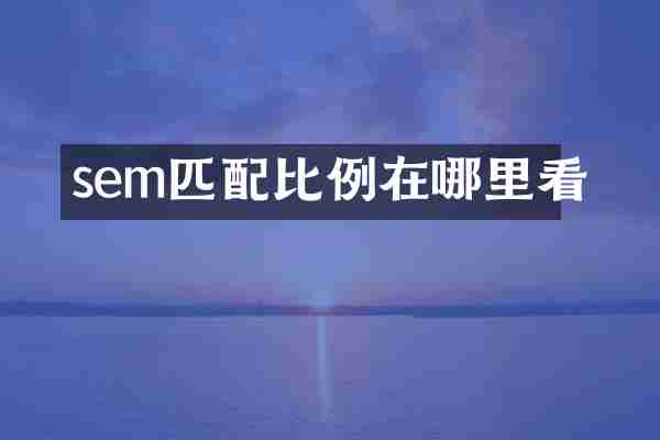 sem匹配比例在哪里看