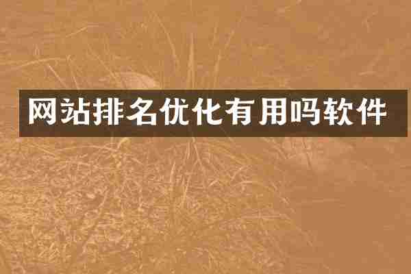 网站排名优化有用吗软件