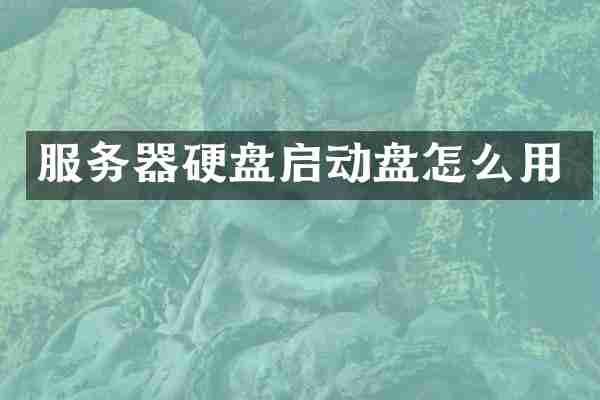 服务器硬盘启动盘怎么用
