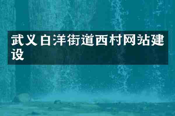 武义白洋街道西村网站建设