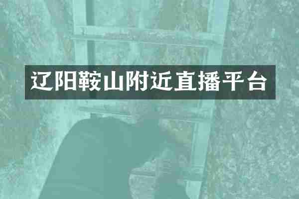 辽阳鞍山附近直播平台