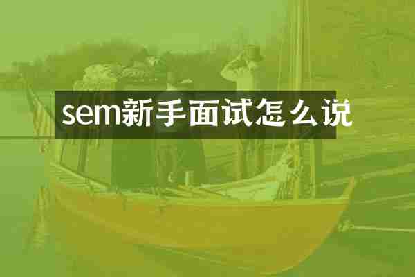 sem新手面试怎么说