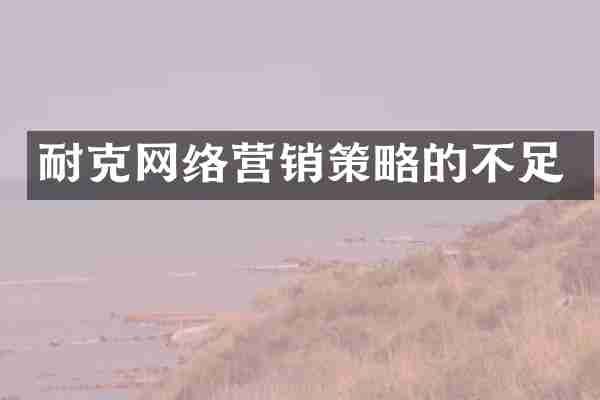 耐克网络营销策略的不足