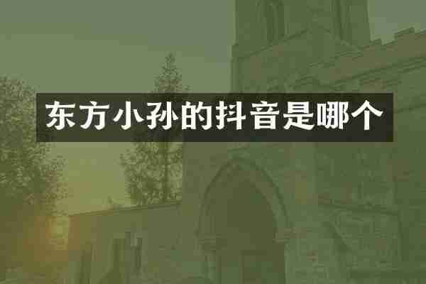 东方小孙的抖音是哪个