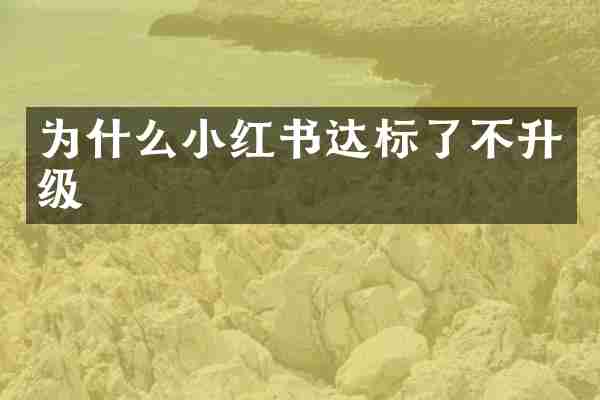 为什么小红书达标了不升级