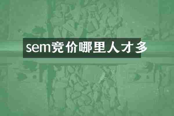 sem竞价哪里人才多