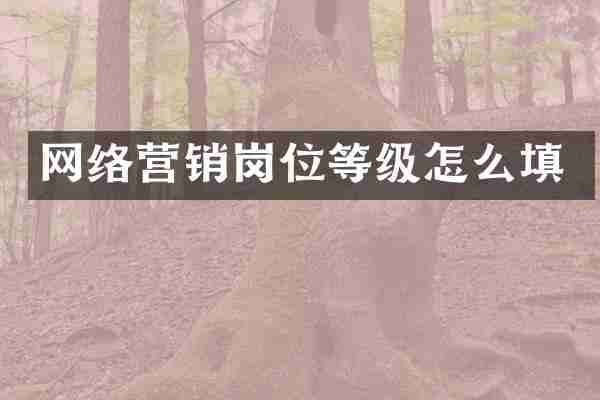网络营销岗位等级怎么填