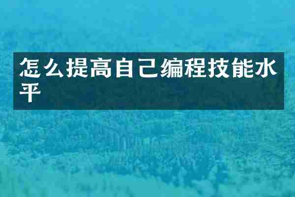 怎么提高自己编程技能水平