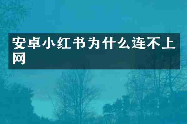 安卓小红书为什么连不上网