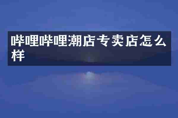 哔哩哔哩潮店专卖店怎么样