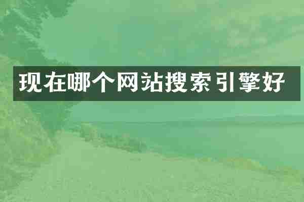 现在哪个网站搜索引擎好