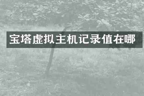 宝塔虚拟主机记录值在哪