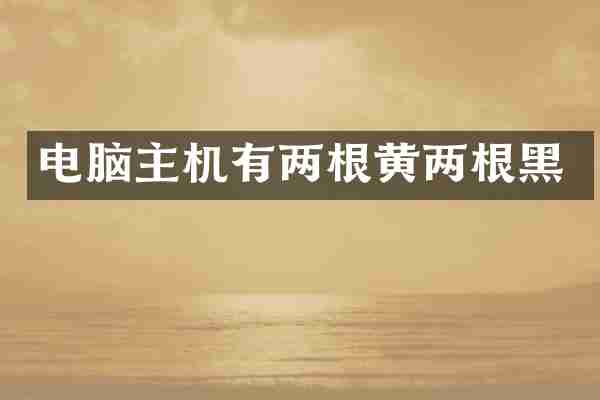电脑主机有两根黄两根黑