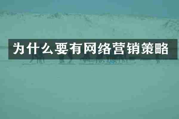 为什么要有网络营销策略