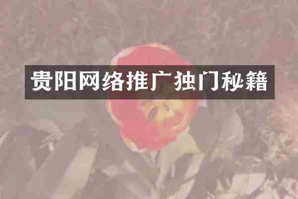 贵阳网络推广独门秘籍