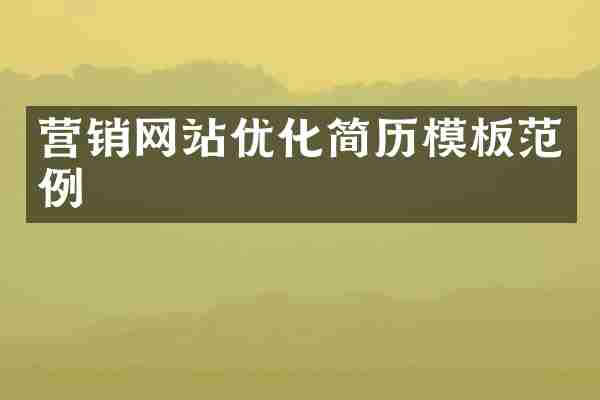 营销网站优化简历模板范例