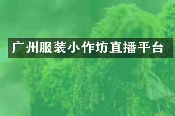 广州服装小作坊直播平台