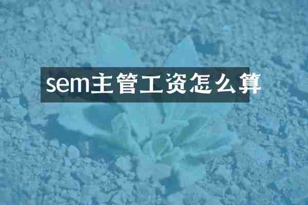 sem主管工资怎么算