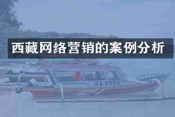 西藏网络营销的案例分析