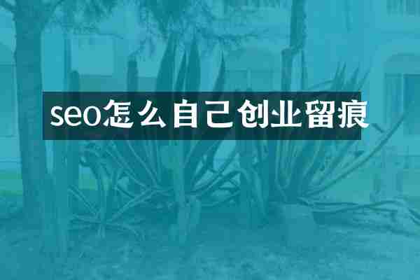 seo怎么自己创业留痕