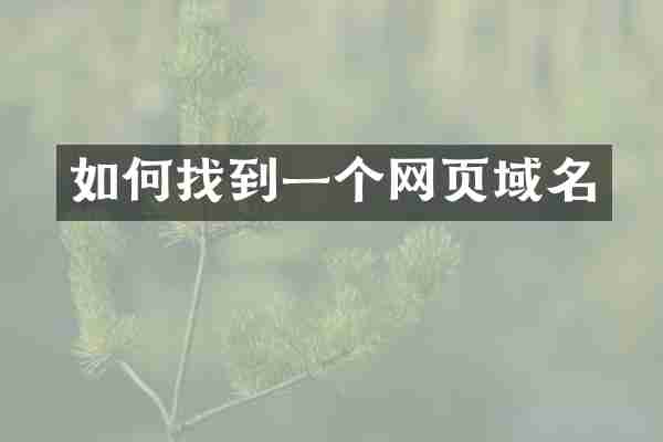 如何找到一个网页域名