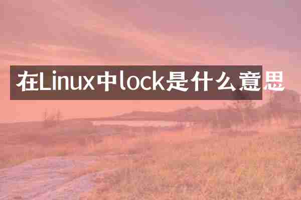 在Linux中lock是什么意思