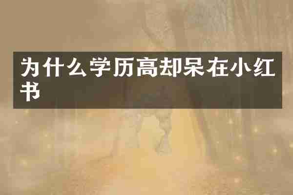 为什么学历高却呆在小红书