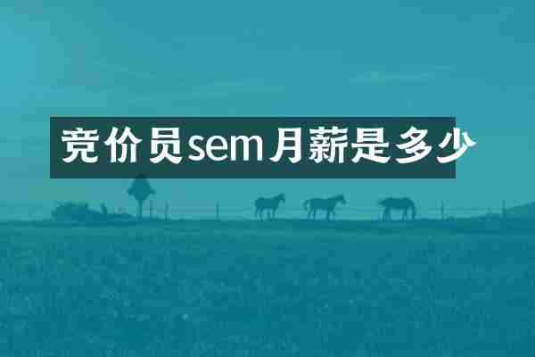 竞价员sem月薪是多少