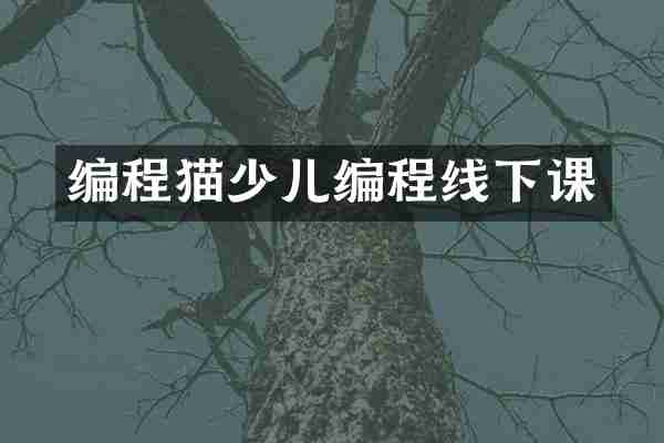 编程猫少儿编程线下课