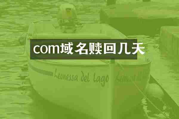 com域名赎回几天