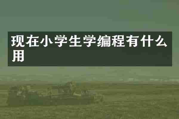 现在小学生学编程有什么用