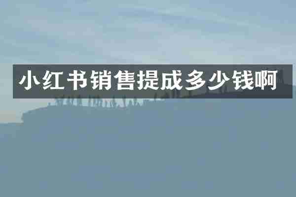 小红书销售提成多少钱啊