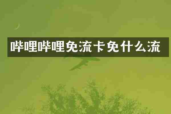 哔哩哔哩免流卡免什么流